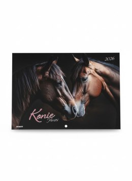 Kalendarz ścienny KONIE wieloplanszowy 285mm x 410mm Avanti (KA-10)
