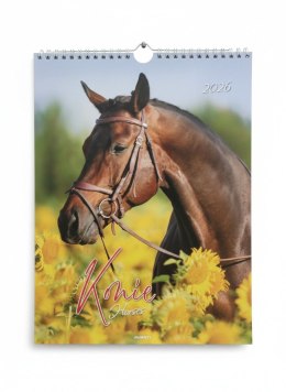 Kalendarz ścienny MAŁY SPIRALA KONIE 230mm x 305mm Avanti (KSMS-5)