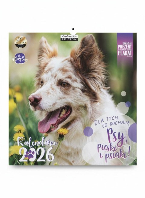 Kalendarz ścienny classic PSY 300mm x 300mm Kukartka