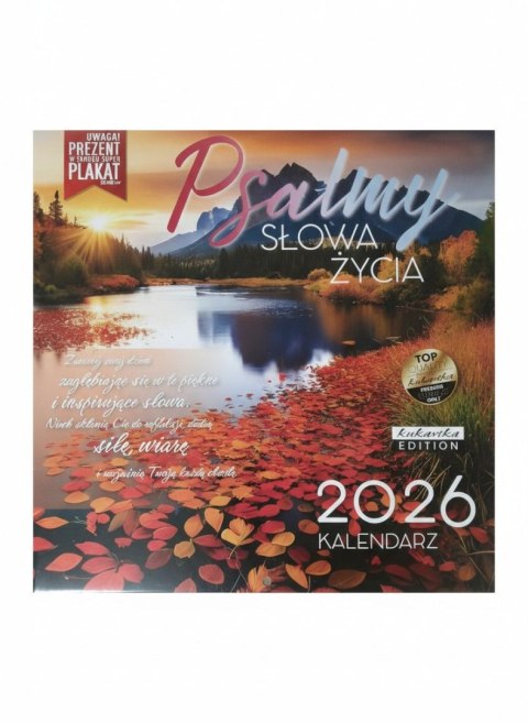 Kalendarz ścienny classic Q Plasmy Kukartka