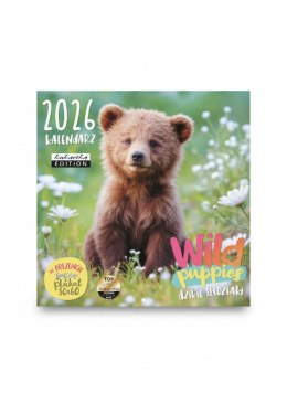 Kalendarz ścienny classic Wild Puppies 300mm x 300mm Kukartka