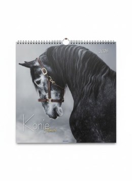 Kalendarz ścienny wieloplanszowy 330mm x 330mm Avanti (5901769620292)