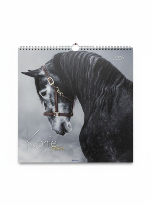 Kalendarz ścienny wieloplanszowy 330mm x 330mm Avanti (5901769620292)