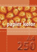 Papier kolorowy A4 mix 80g Kreska