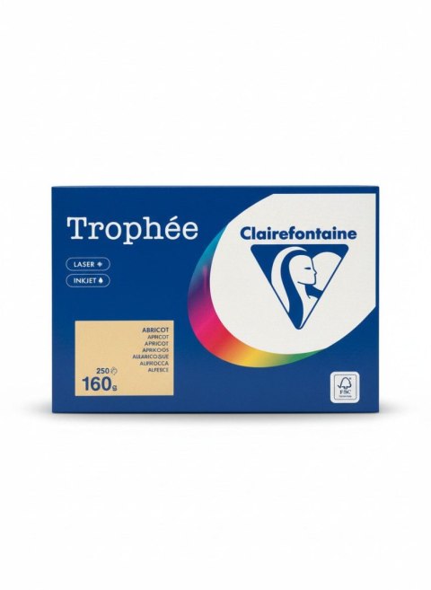 Papier kolorowy kolorowy morelowy A4 morelowy 250k. 160g Trophee (xca41011)