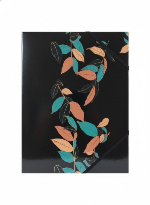 Teczka kartonowa na gumkę LIŚCIE A4 mix Tetis (BT601-B1(96))