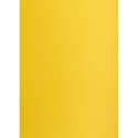 Brystol A2 ciemnożółty 160g 25k [mm:] 430x610 Creatinio (400150172)