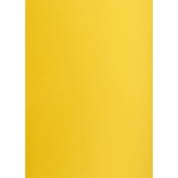 Brystol A2 ciemnożółty 160g 25k [mm:] 430x610 Creatinio (400150172)
