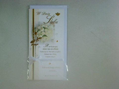 Kartka składana SatyNova SN / SNV DL [mm:] 230x122 Artis collage