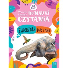 Książeczka edukacyjna Wyrazy i zdania do nauki czytania. Duże litery. Zwierzęta duże i małe Aksjomat