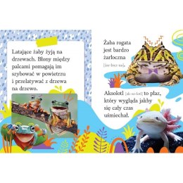 Książeczka edukacyjna Wyrazy i zdania do nauki czytania. Duże litery. Zwierzęta egzotyczne Aksjomat