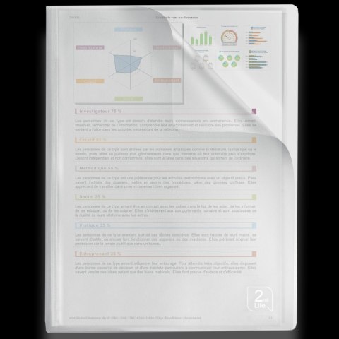 Album ofertowy Elba 2Life A4 40 kieszeni (400059343)