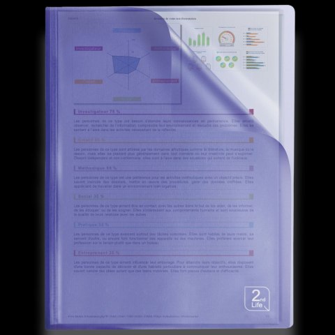 Album ofertowy Elba 2Life A4 40 kieszeni (400059343)