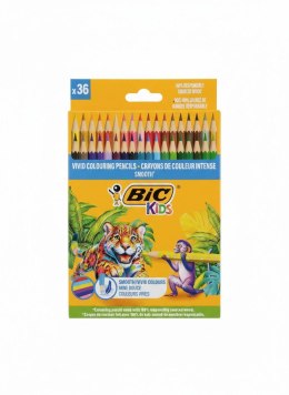 Kredki ołówkowe BIC KIDS 36k 36 kol. Bic Kids (ECO)