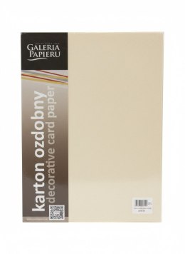 Papier ozdobny (wizytówkowy) nature A4 beżowy 220g Galeria Papieru (204756)