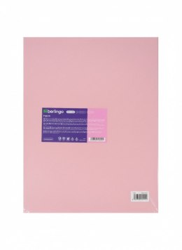 Teczka ofertowa A4 kolor: mix 20 kieszeni Berlingo (352615)