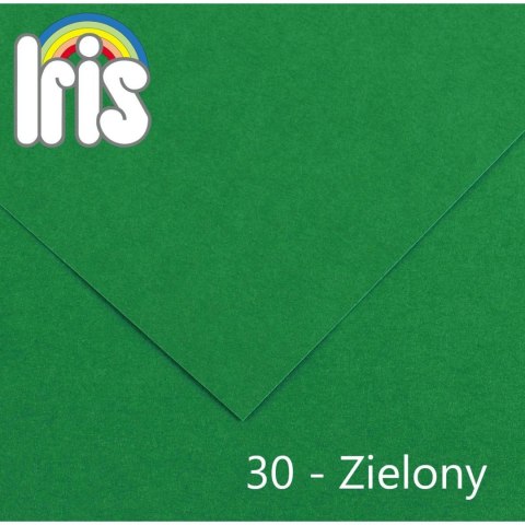 Brystol Iris 30 A4 zielony 120g 100k Canson (200040029)