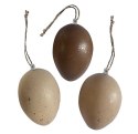 Ozdoba świąteczna Craft-Fun Series Jajka plastikowe zawieszki Titanum (BH25A7006 (1))