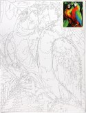 Zestaw kreatywny Malowanie po numerach 30x40cm Papugi Flamingo Line (FSY287)