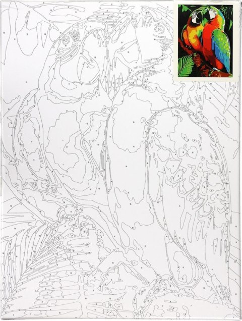 Zestaw kreatywny Malowanie po numerach 30x40cm Papugi Flamingo Line (FSY287)