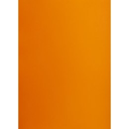 Brystol POMARAŃCZOWY B2 pomarańczowy 225g 25k Creatinio (400150330)