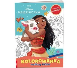 Książka dla dzieci Księżniczka Ameet (KKO 9109)
