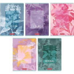 Zeszyt A5 BLOSSOM 60k. 70g linia Herlitz (400206386)