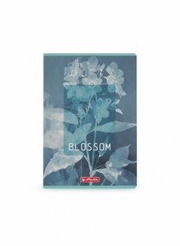 Zeszyt B5 Blossom 80k. 70g kratka Herlitz (400206169)
