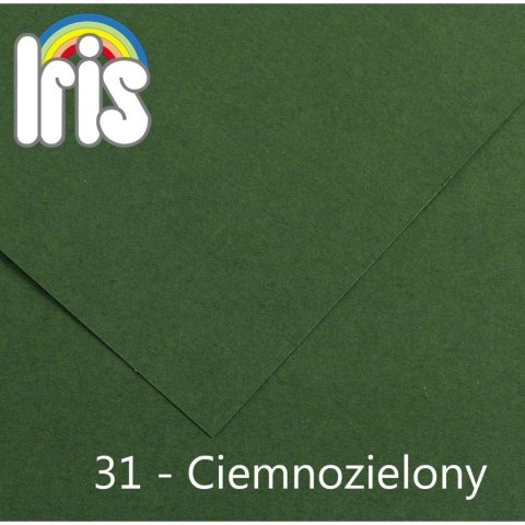 Brystol Iris 31 A4 zielony ciemny 120g 100k Canson (200040030)