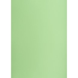 Brystol groszkowy B2 zielony 225g 25k Creatinio (400150336)