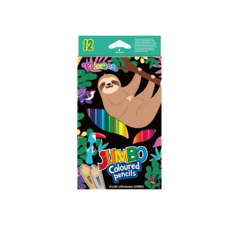 Kredki ołówkowe Wildkid jumbo 12 kol. Patio (22037PTR)