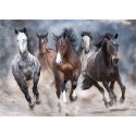 Puzzle Wild Horses PUZZLE 1000 Interdruk