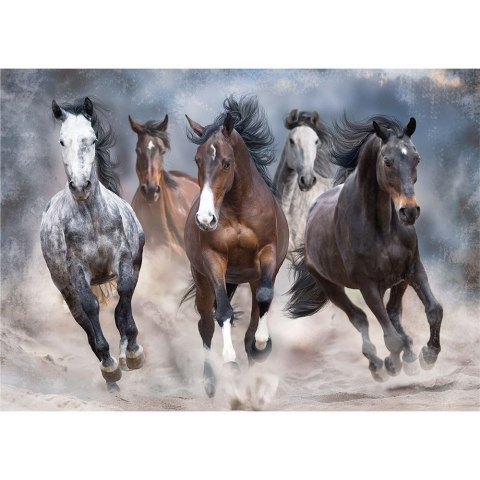 Puzzle Wild Horses PUZZLE 1000 Interdruk
