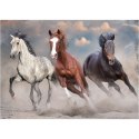 Puzzle Wild Horses PUZZLE 1000 Interdruk