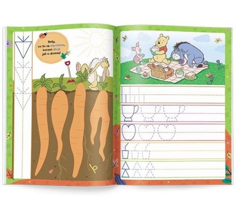 Książka dla dzieci Disney Kubuś i przyjaciele. Ameet (KSS 9117)