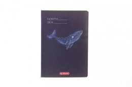 Zeszyt A5 mix 3 60k. 70g kratka Herlitz (400206346)