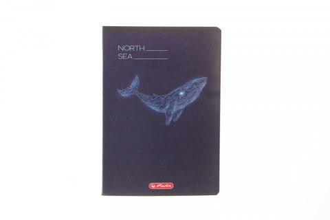 Zeszyt A5 mix 3 60k. 70g kratka Herlitz (400206346)