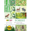 Zeszyt papierów kolorowych Forest Happy Color (HA 3808 2030-FR)