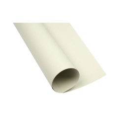 Brystol A1 jasnoszary 160g 25k [mm:] 610x860 TOP-2000 (400149522)