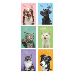Zeszyt A4 Pets 40k. krata Mar Mar (MM 1211638884)