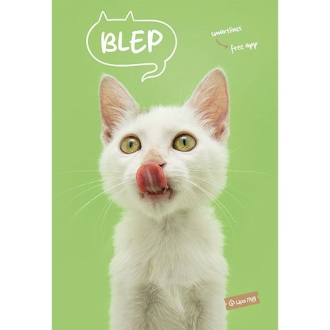 Zeszyt A4 Pets 40k. krata Mar Mar (MM 1211638884)