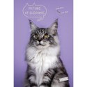 Zeszyt A4 Pets 40k. krata Mar Mar (MM 1211638884)