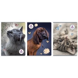 Zeszyt A4 THE SWEET PETS 60k. KRATKA Beniamin (2580)