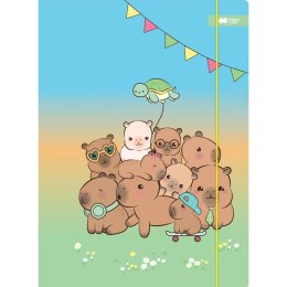 Teczka kartonowa Kapibara Happy Color (HA 7621 2431-KF01)