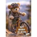 Zeszyt Teddy BeaR Mar Mar (MM 1211639957)