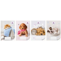 Zeszyt THE SWEET PETS Beniamin