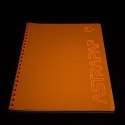 Kołozeszyt (kołonotatnik) B5 fluo 80k. linia Astrapap (104021044)
