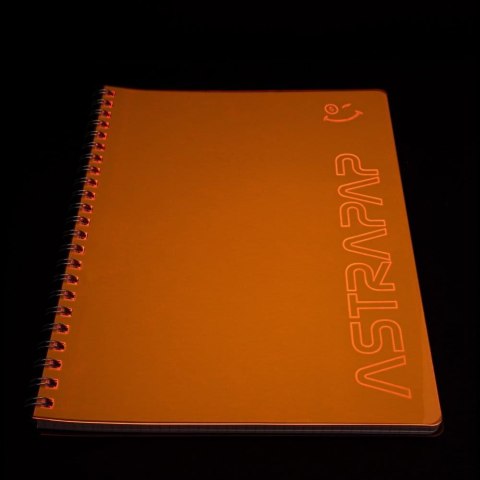 Kołozeszyt (kołonotatnik) B5 fluo 80k. linia Astrapap (104021044)
