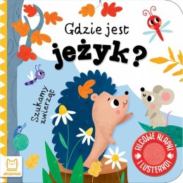 Książka dla dzieci Gdzie jest jeżyk? Aksjomat