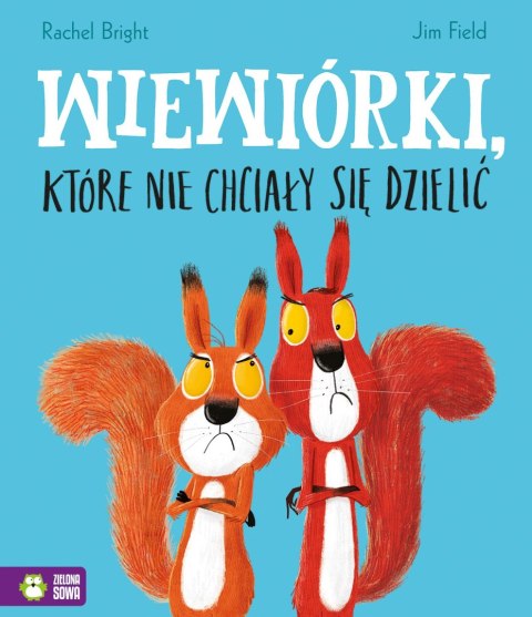 Książka dla dzieci Wilk, który się zgubił Zielona Sowa